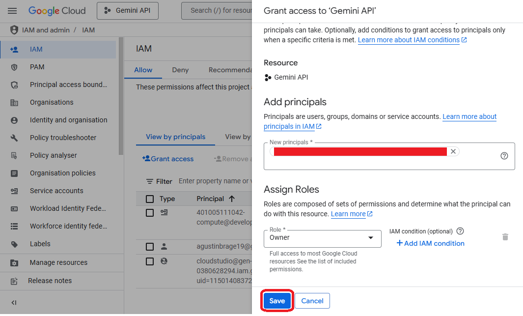 GCP IAM grant access